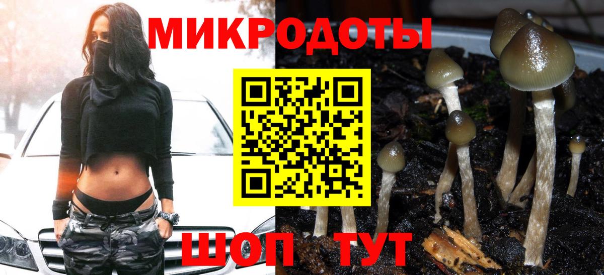 Дубна  Галлюциногенные грибы MAGIC MUSHROOMS  Вход с VPN 